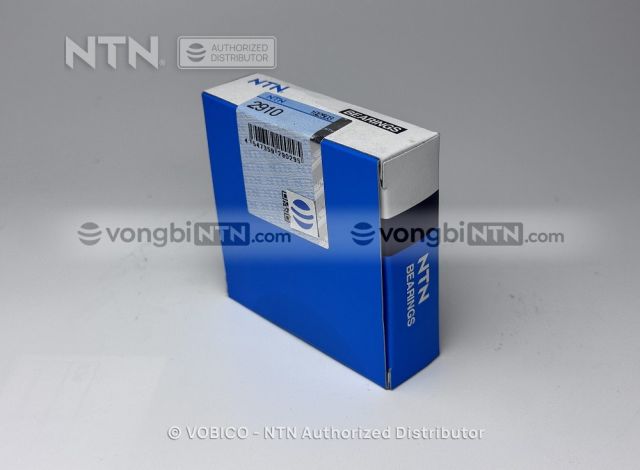 Vòng bi 2910