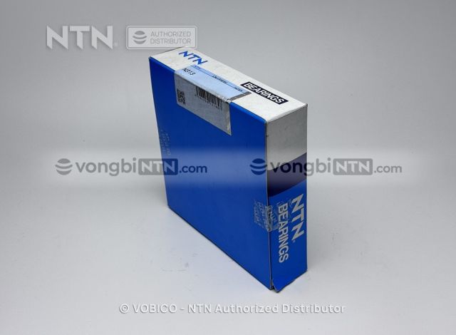 Vòng bi N313