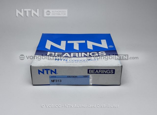 Vòng bi NF313