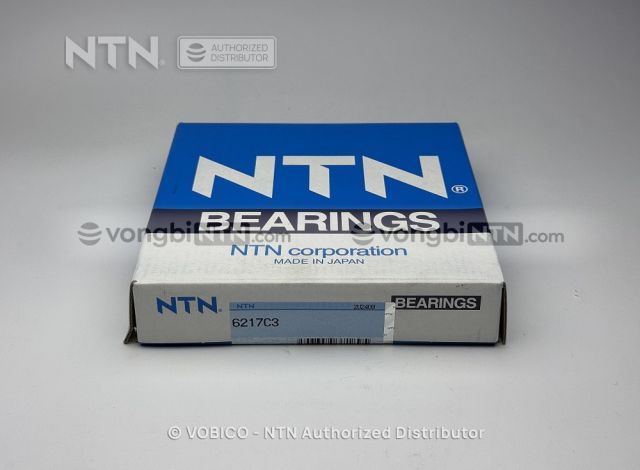 Vòng bi 6217C3