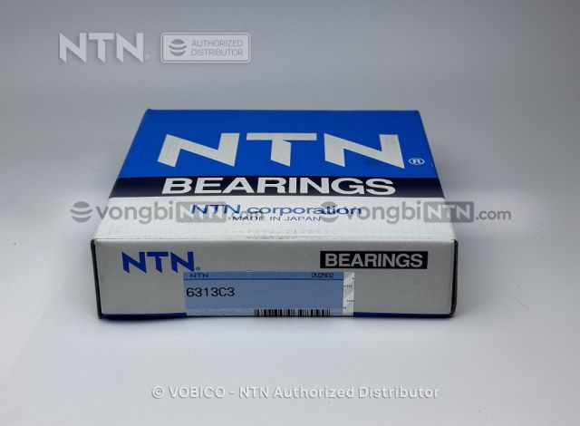 Vòng bi 6313C3