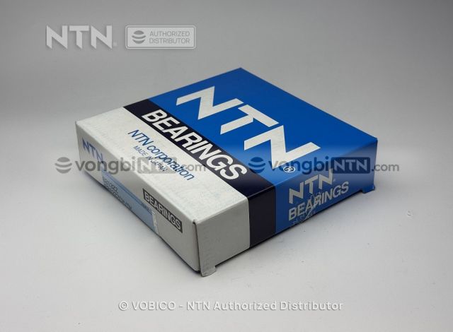 Vòng bi 6313ZZCM/5K