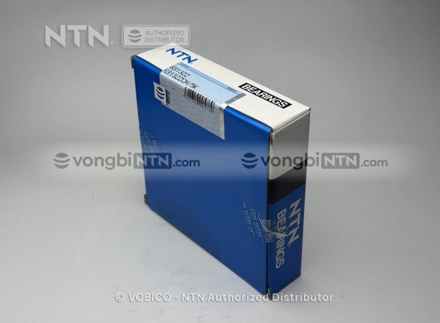 Vòng bi 6313ZZCM/5K