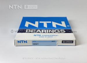 Vòng bi 16021 chính hãng NTN