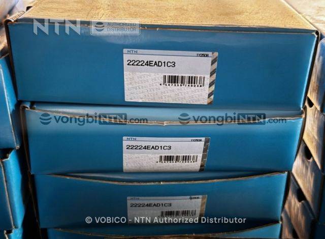 Vòng bi 22224EAD1C3 chính hãng NTN