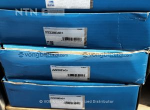 Vòng bi 22228EAD1 chính hãng NTN