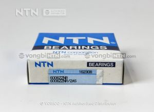 Vòng bi 6006ZZNR/2AS chính hãng NTN