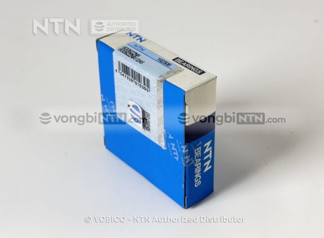 Vòng bi 6006ZZNR/2AS chính hãng NTN